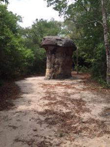 Pedra do cogumelo (1)